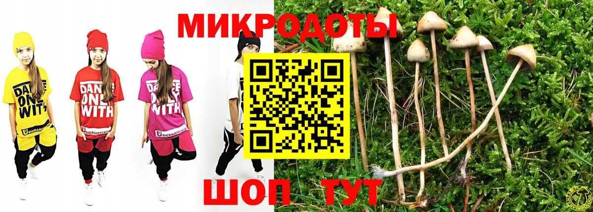 Псилоцибиновые грибы Psilocybine cubensis  Вход с VPN  Егорьевск 